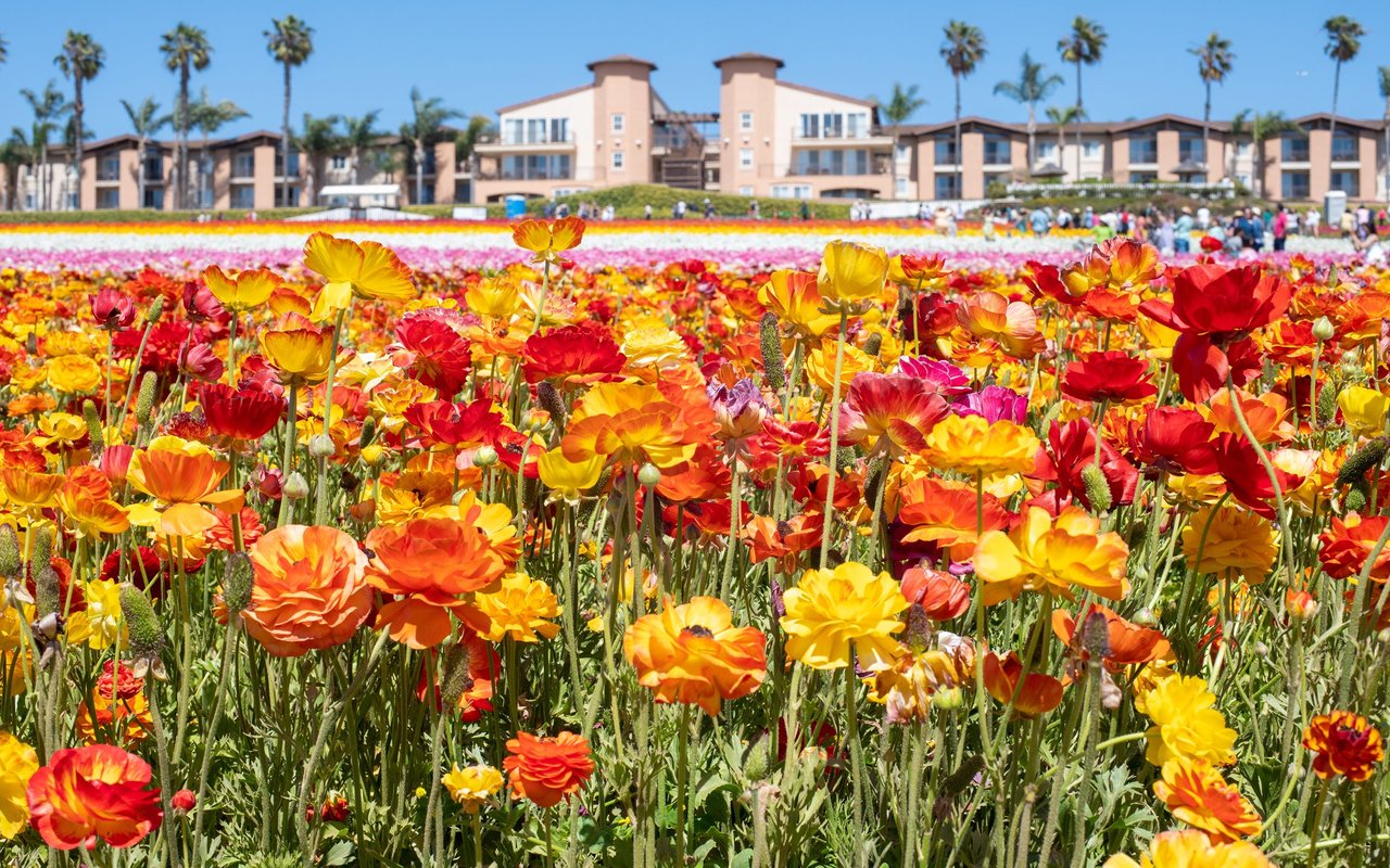 Carlsbad