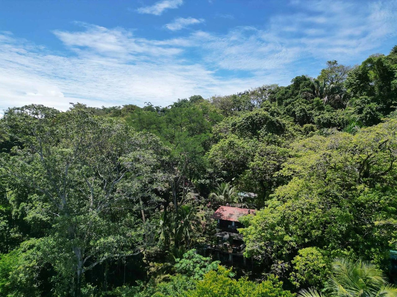 Ocean View Estate Property