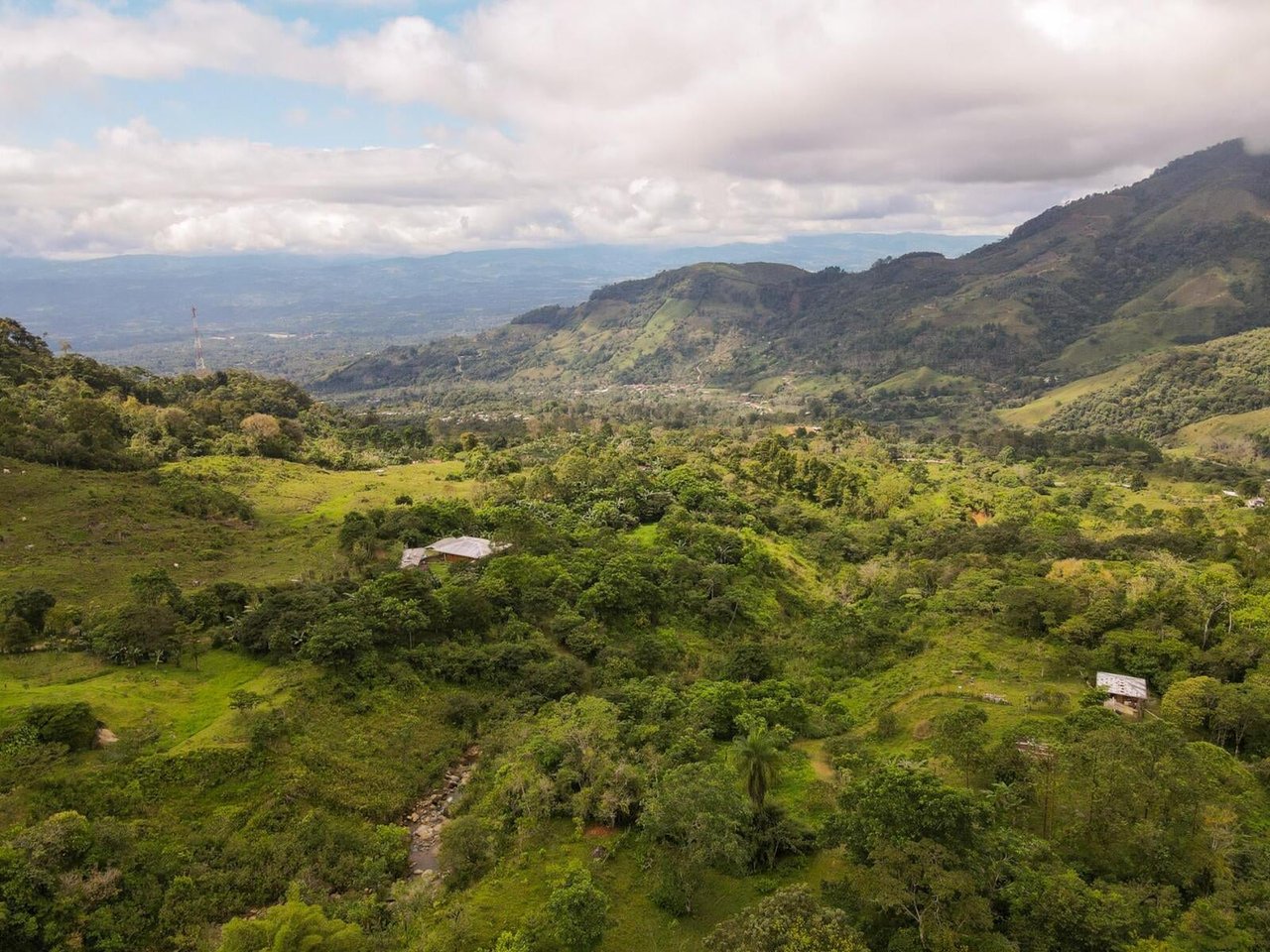 Sustainable Organic Mountain Farm, Perez Zeledon, San Jose