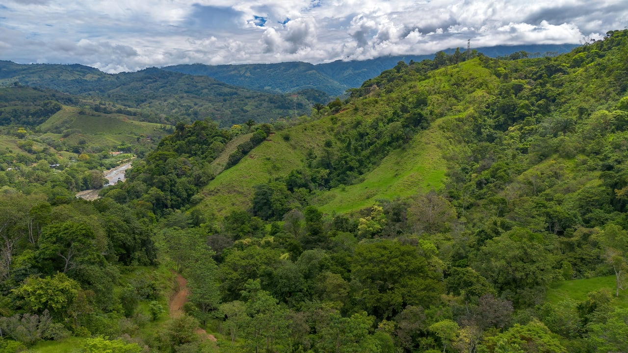 60 Hectares in Platanillo 