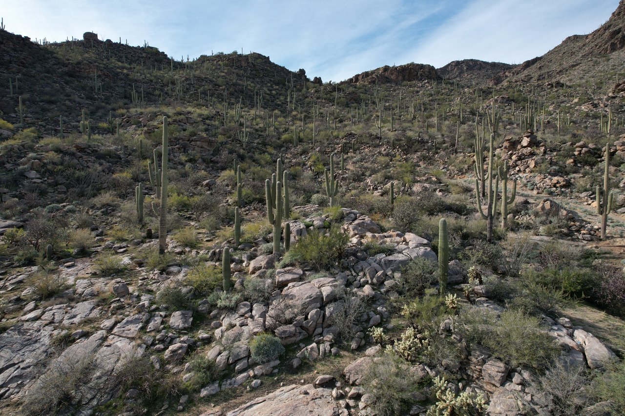 MC #27 - 14201 N Kepler Drive