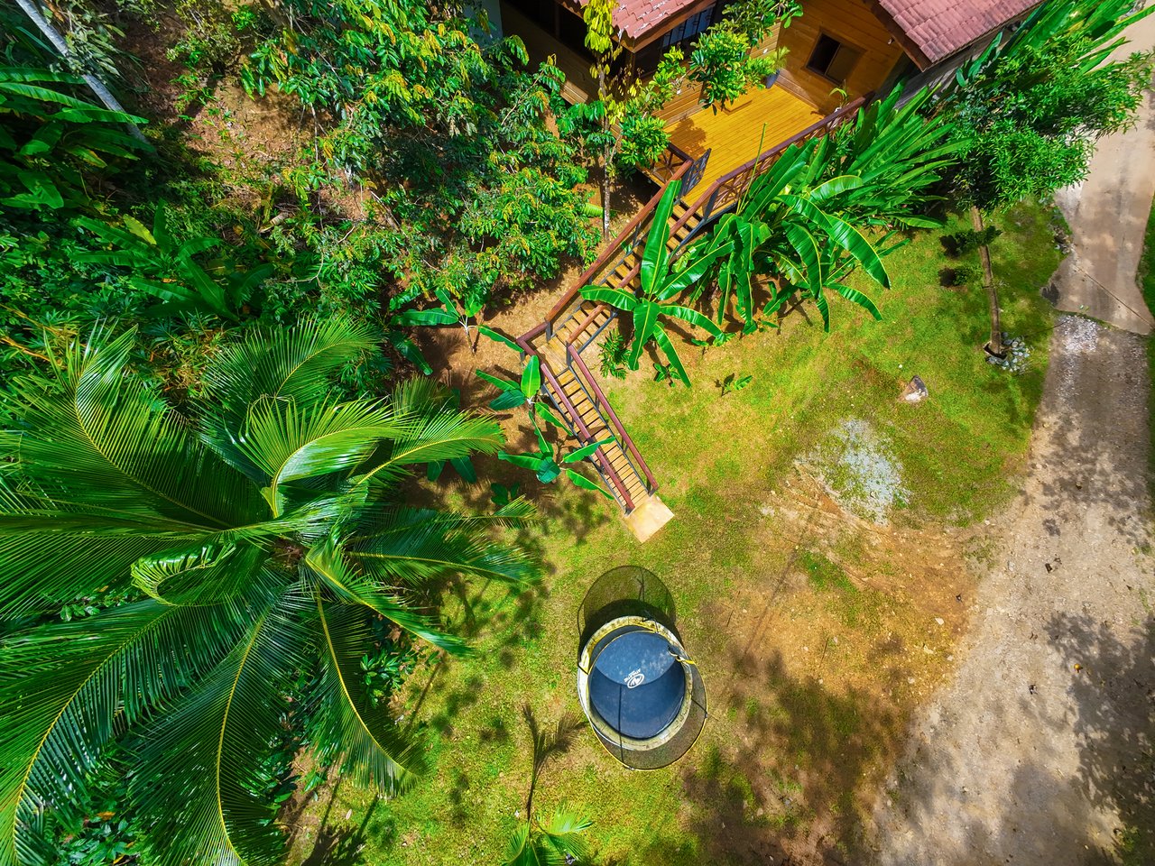 Serene Jungle Home + Guest Cabin on 3 Acres and River