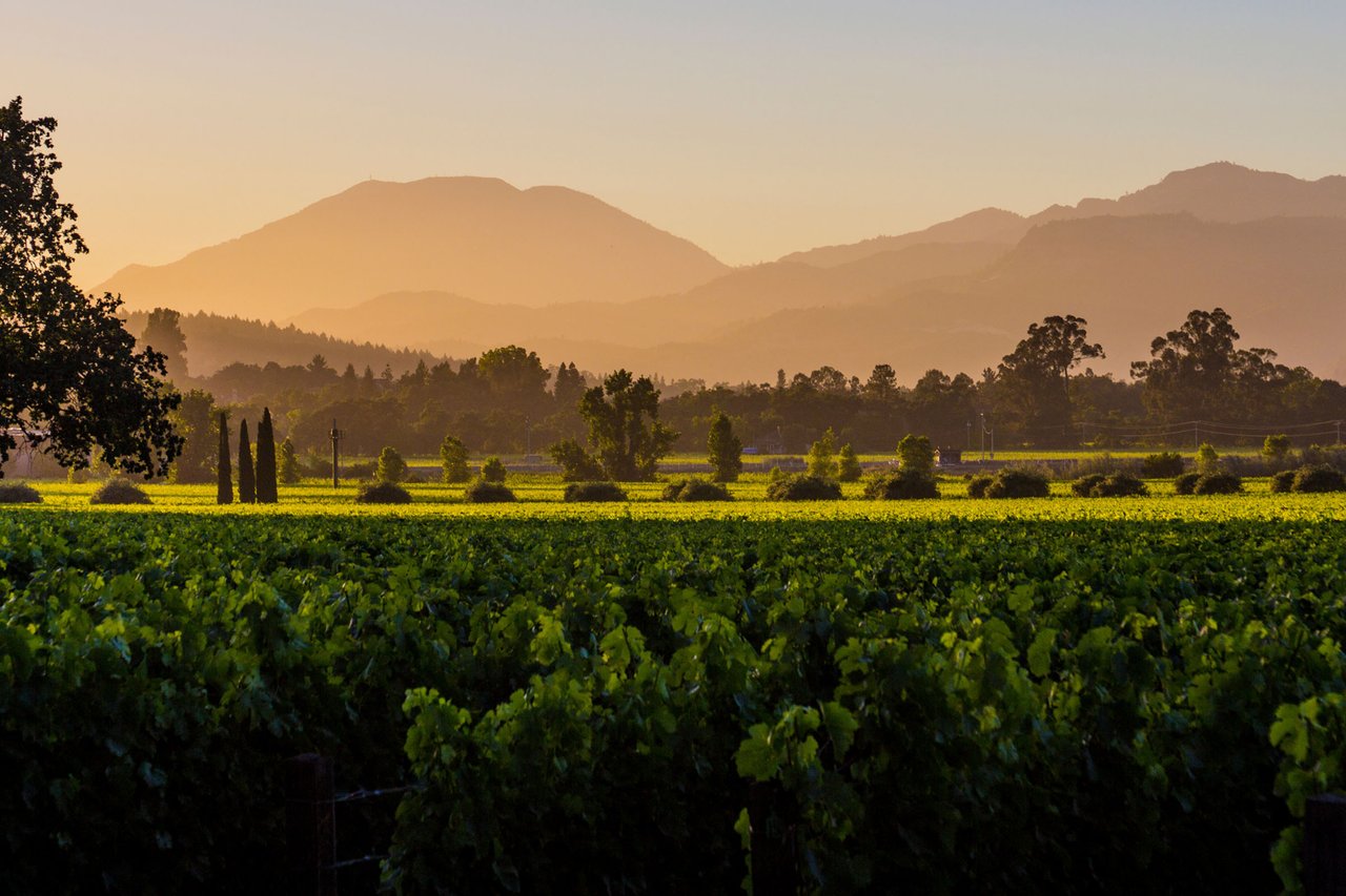 Napa County - 10M to 50M