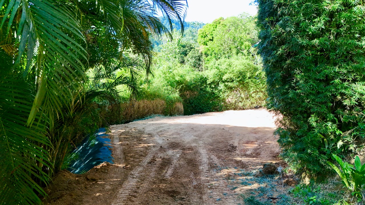 Great Opportunity Well-Located Lot in Playa Hermosa