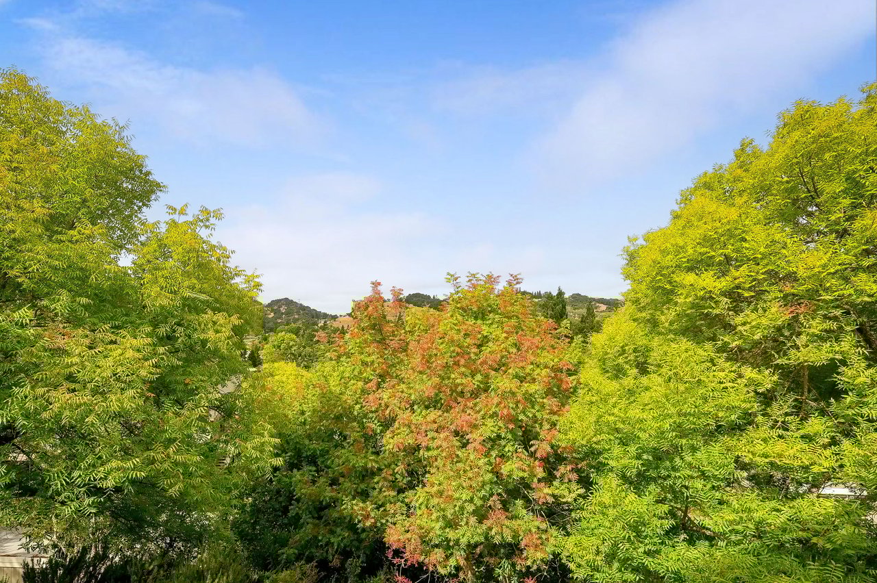 665 Terra California Dr. #3, Walnut Creek