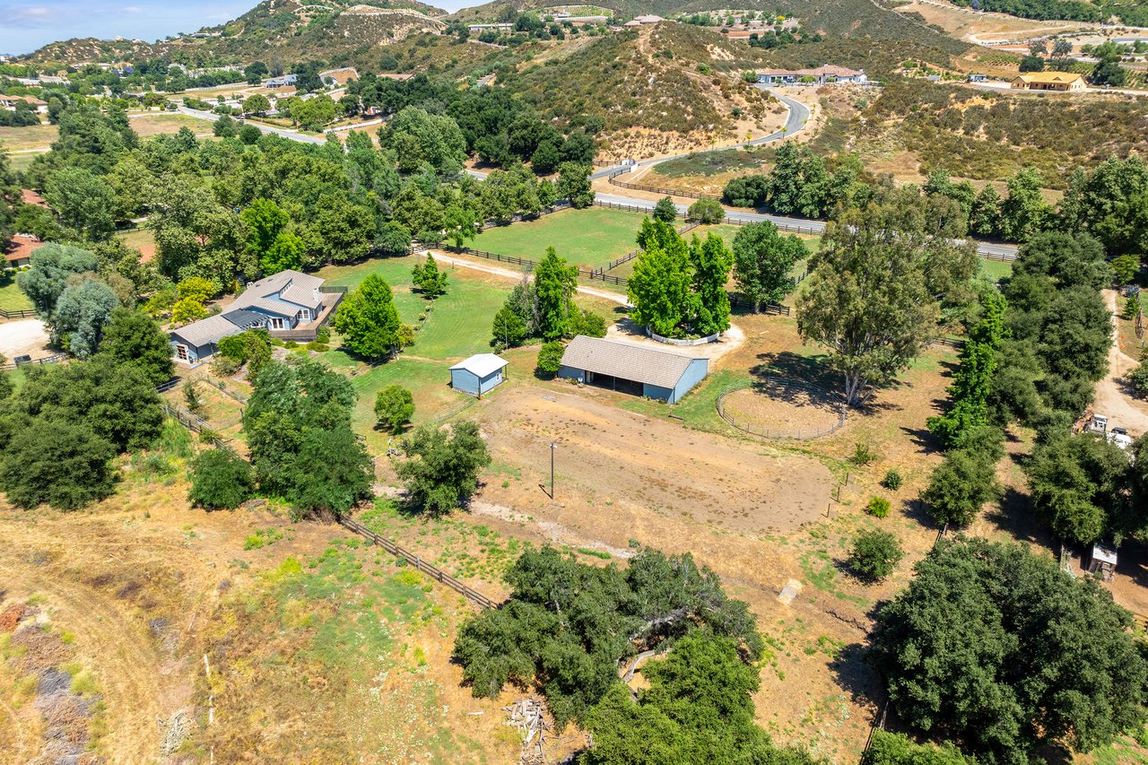 37797 Calle De Lobo
