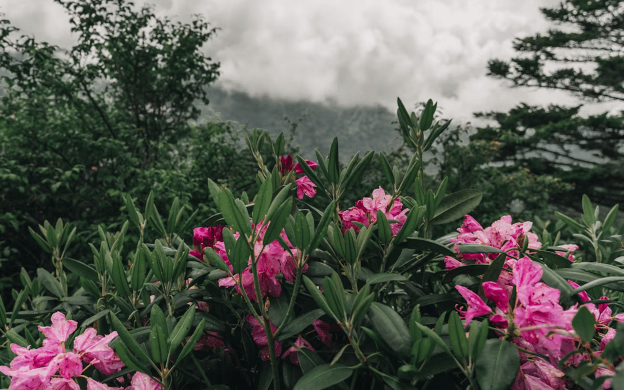 Weekend Trips from Knoxville, TN