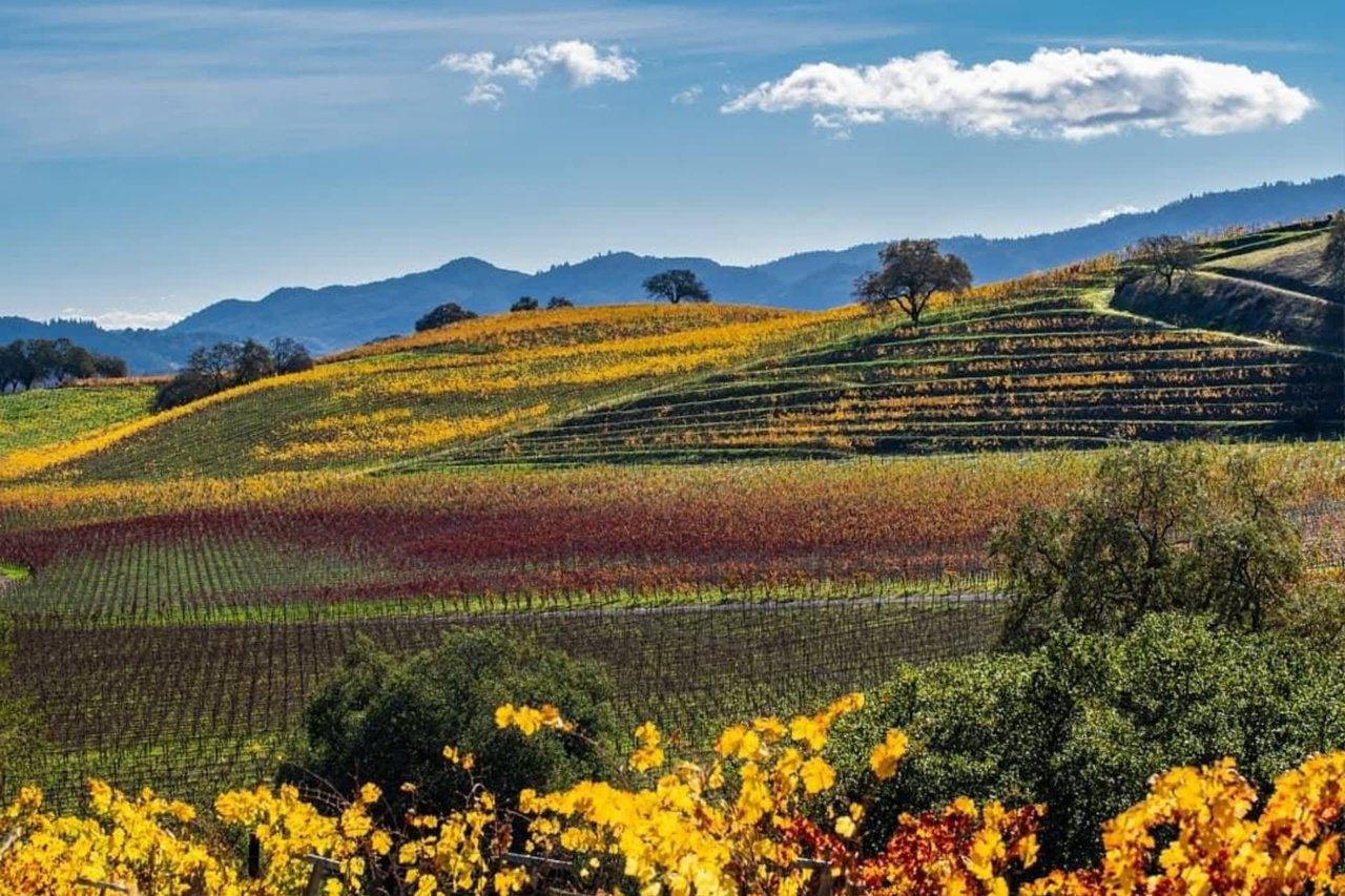 6 Reasons to Visit Napa in the Winter