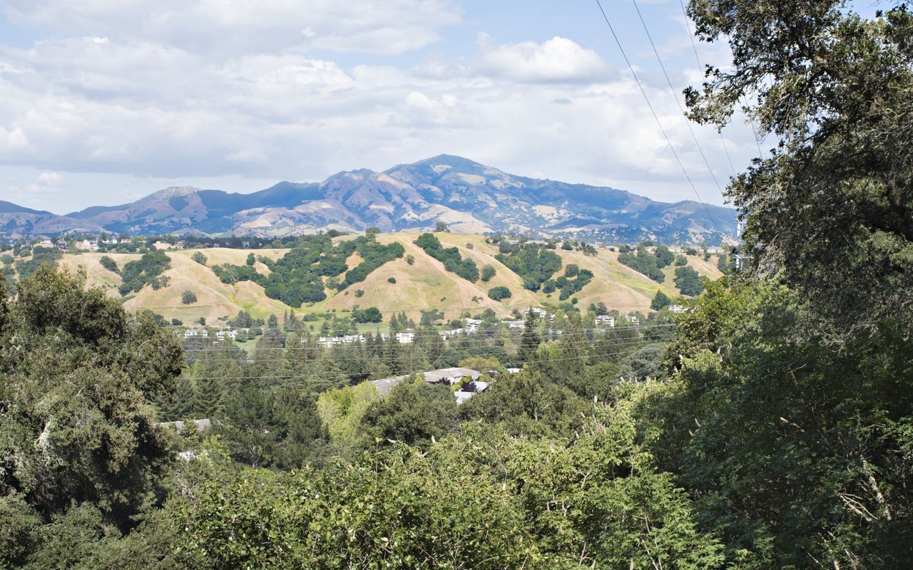 Walnut Creek