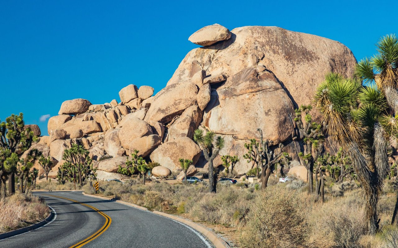 Joshua Tree