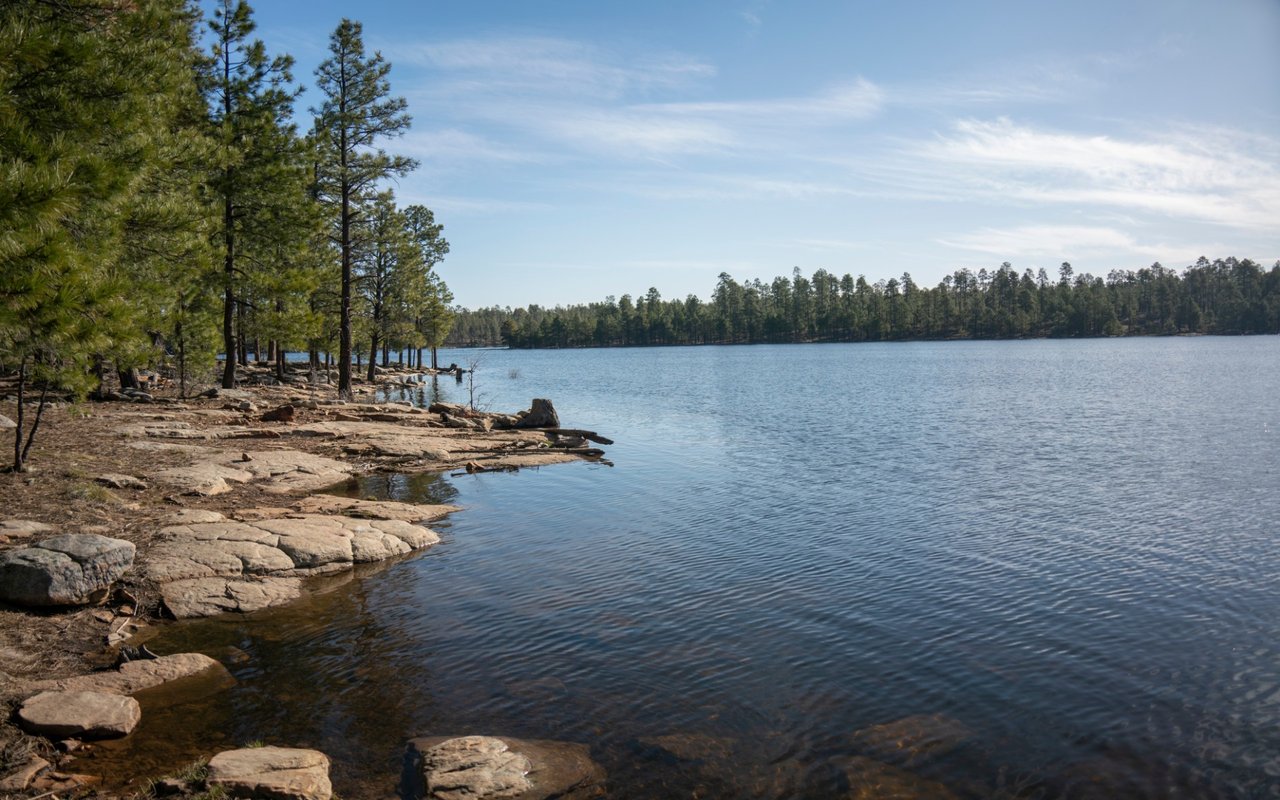Pinedale