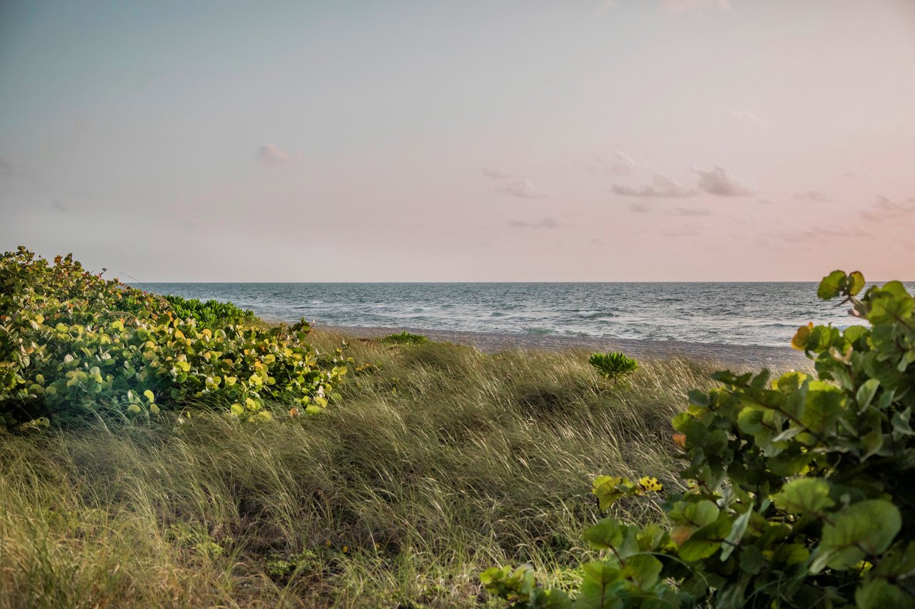 Surf Row Residences