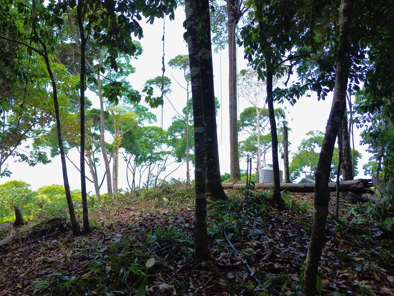 Ocean View Land for Sale in Uvita San Josecito with Whale Tail Views and Gated