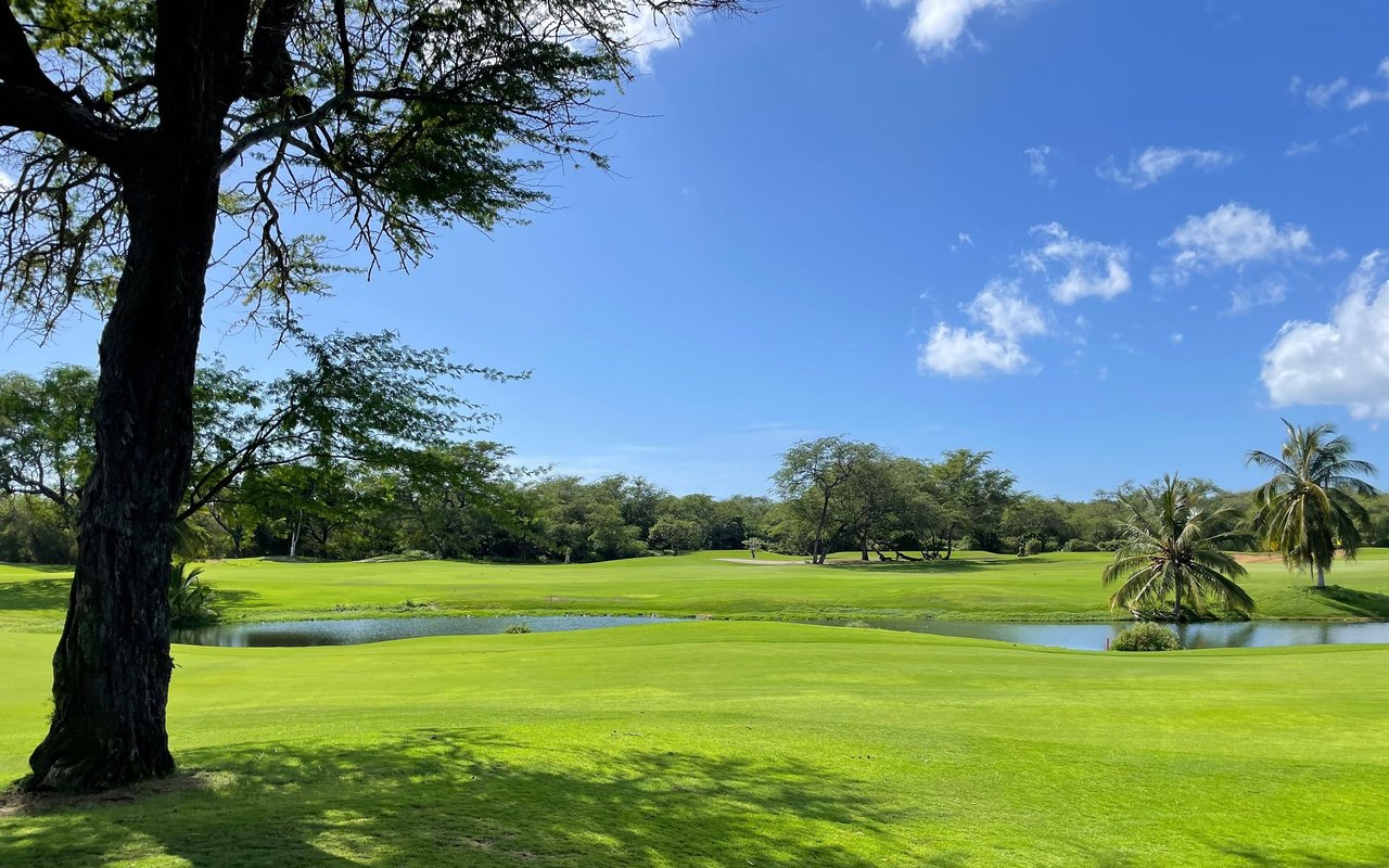 Salt Lake golf course with green fairways, a pond, and palm trees.