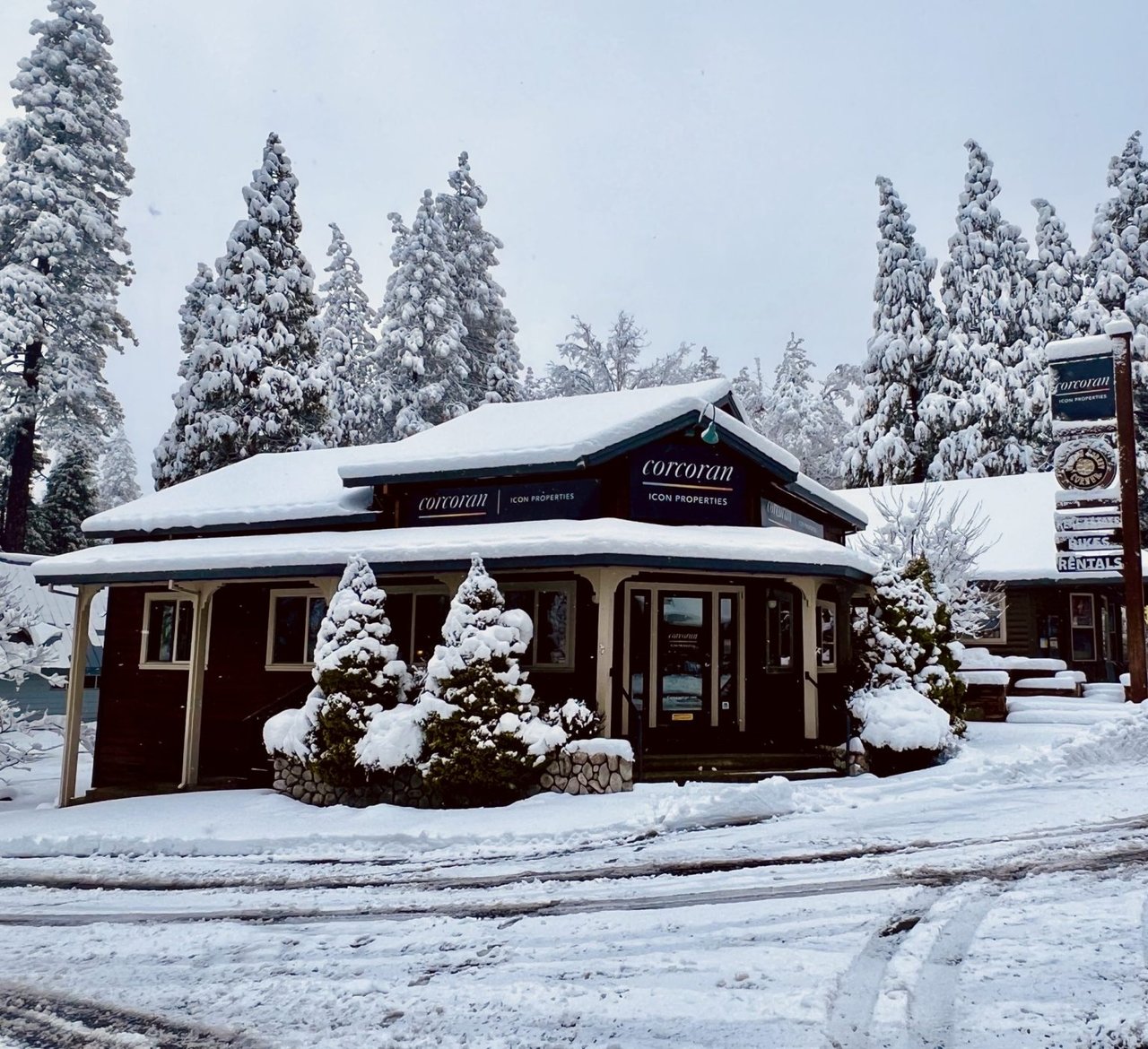 Check Out Our Live Webcam at Corcoran Icon, Arnold!