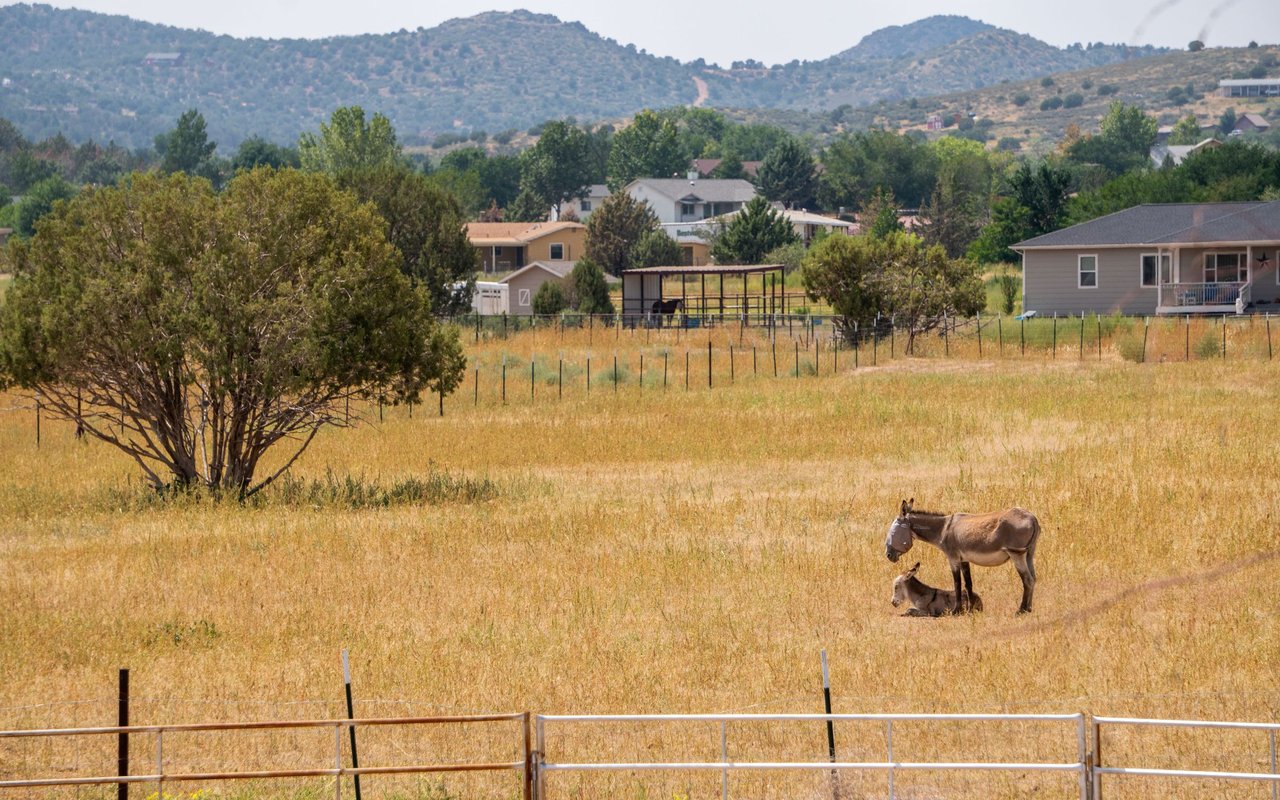 Morrison Ranch