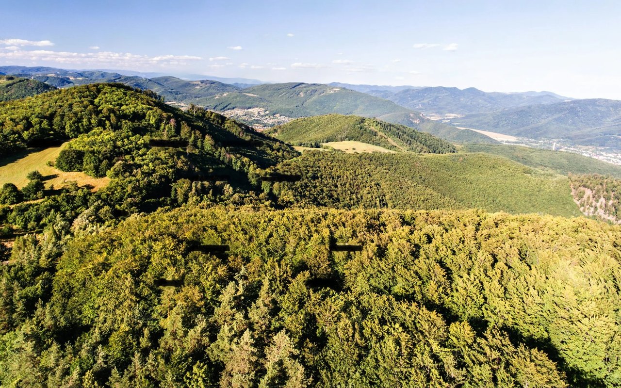 Top Real Estate Investment Areas in Napa Valley