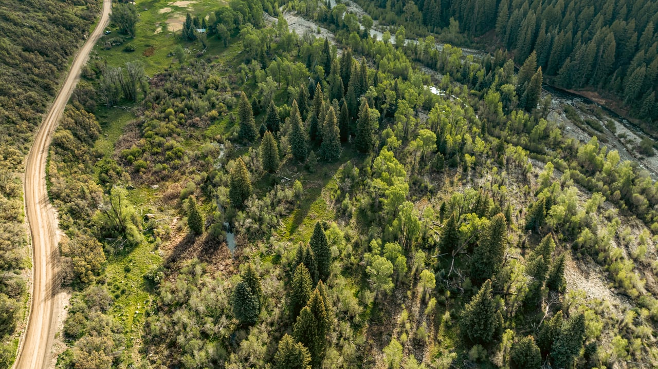 Aerial view of wooded acreage with a dirt road and creek.