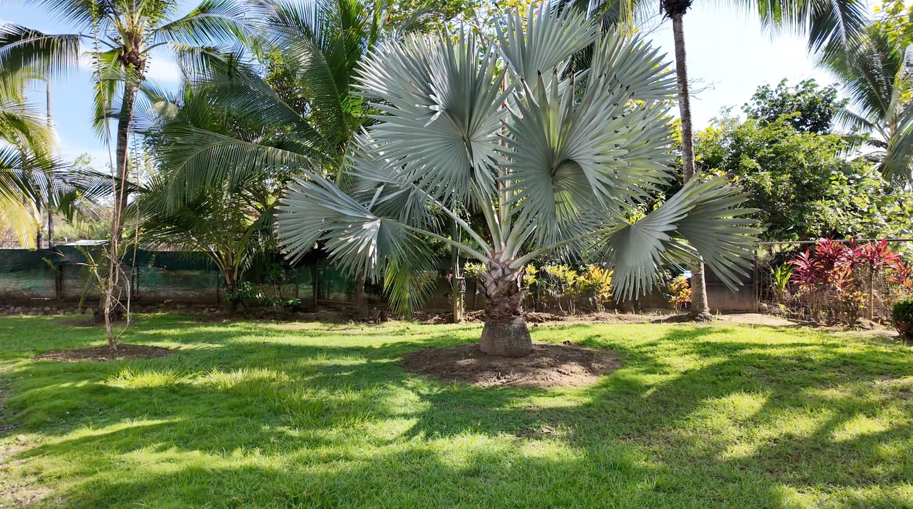 Laguna Eco Village: Condo 113: A great fit for nature lovers and adventurers