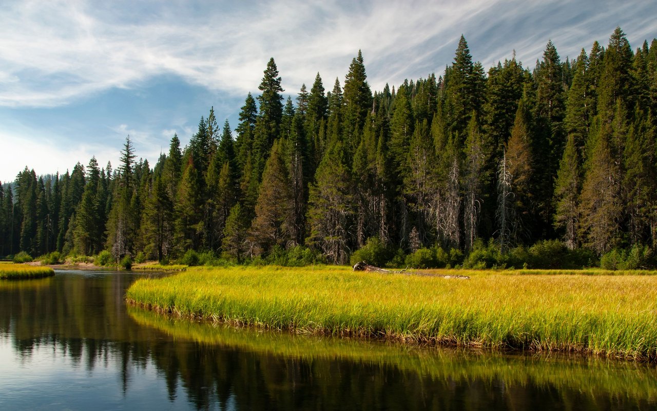 Placer County