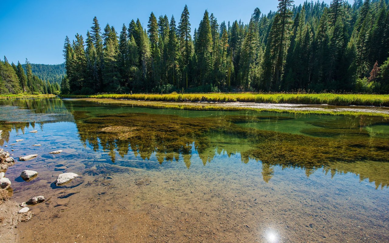 Truckee