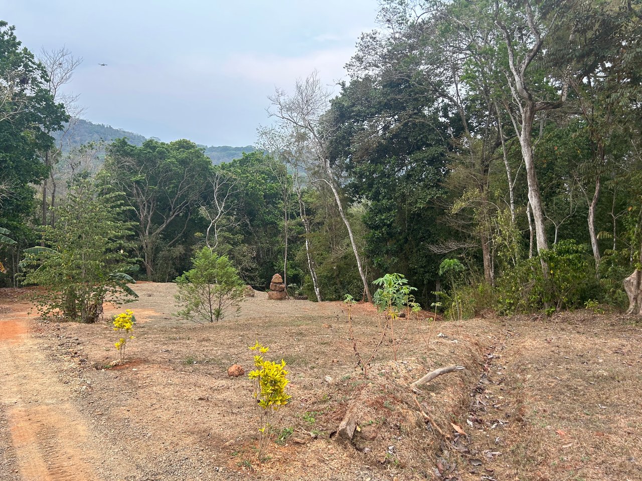 0.59 acre Lot El Carmen / El Carmen , Zapotal, Nandayure, Guanacaste