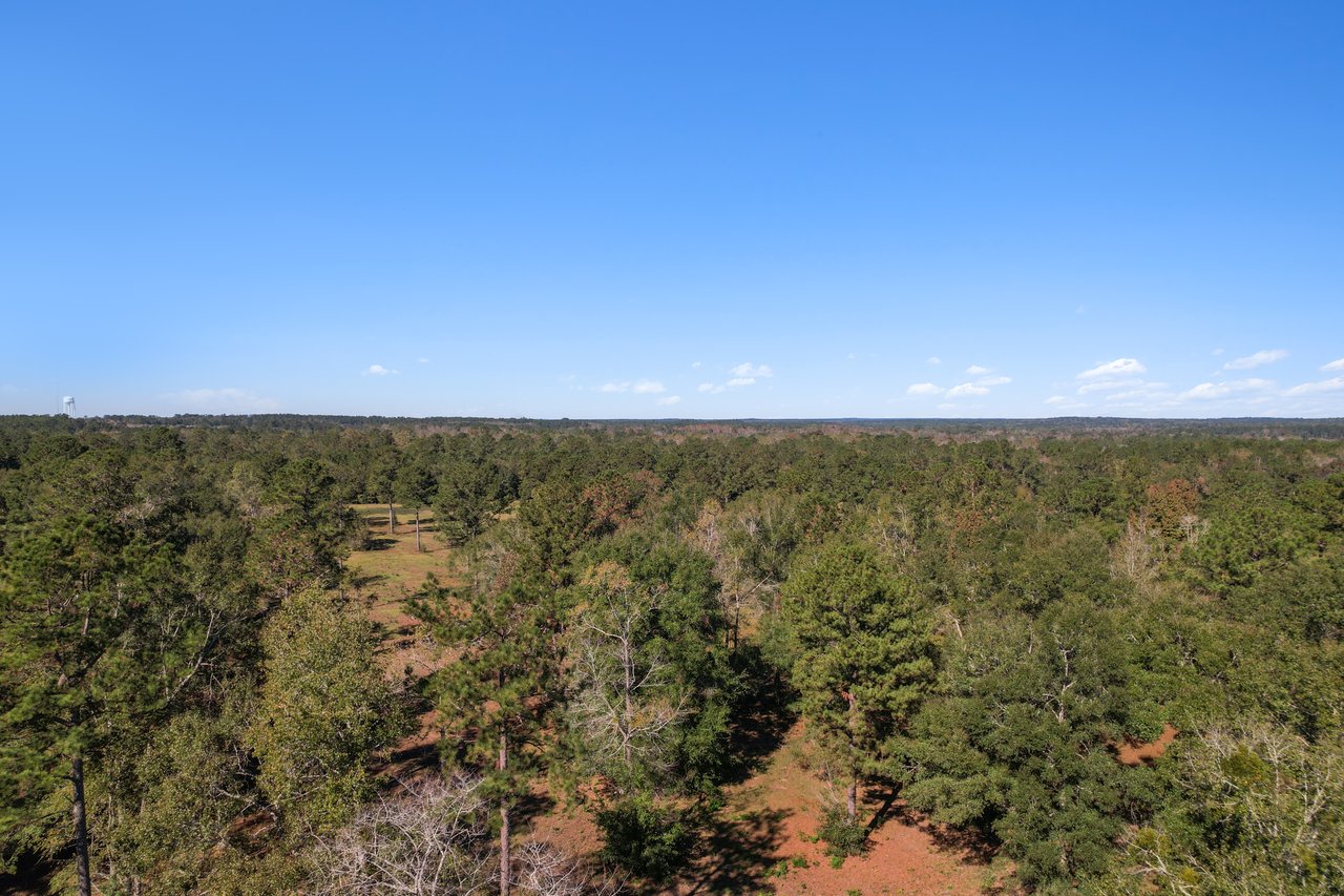 Vast forest landscape under a clear blue sky, featuring dense greenery and scattered clouds. The scene conveys tranquility and natural beauty.Vast forest landscape under a clear blue sky, featuring dense greenery and scattered clouds. The scene conveys tranquility and natural beauty.
