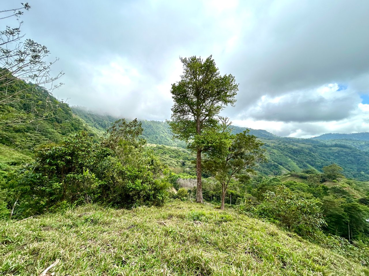 Gorgeous Land in San Luis Morete - Uvita - Over 17 Acres