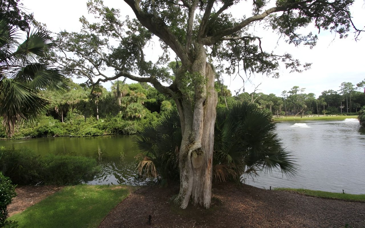 For Sale – Seabrook Island Homes
