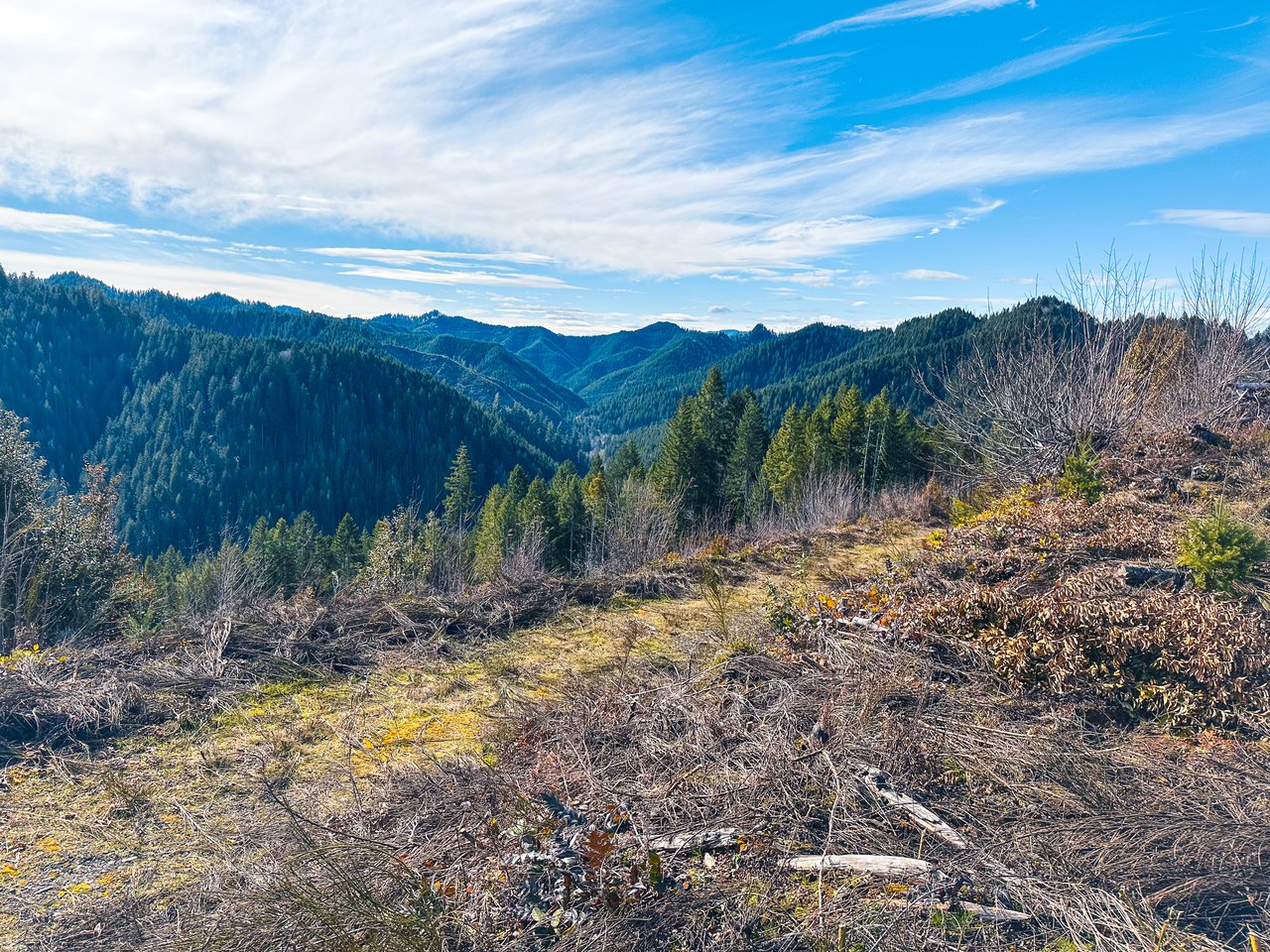 Smith River Back Woods