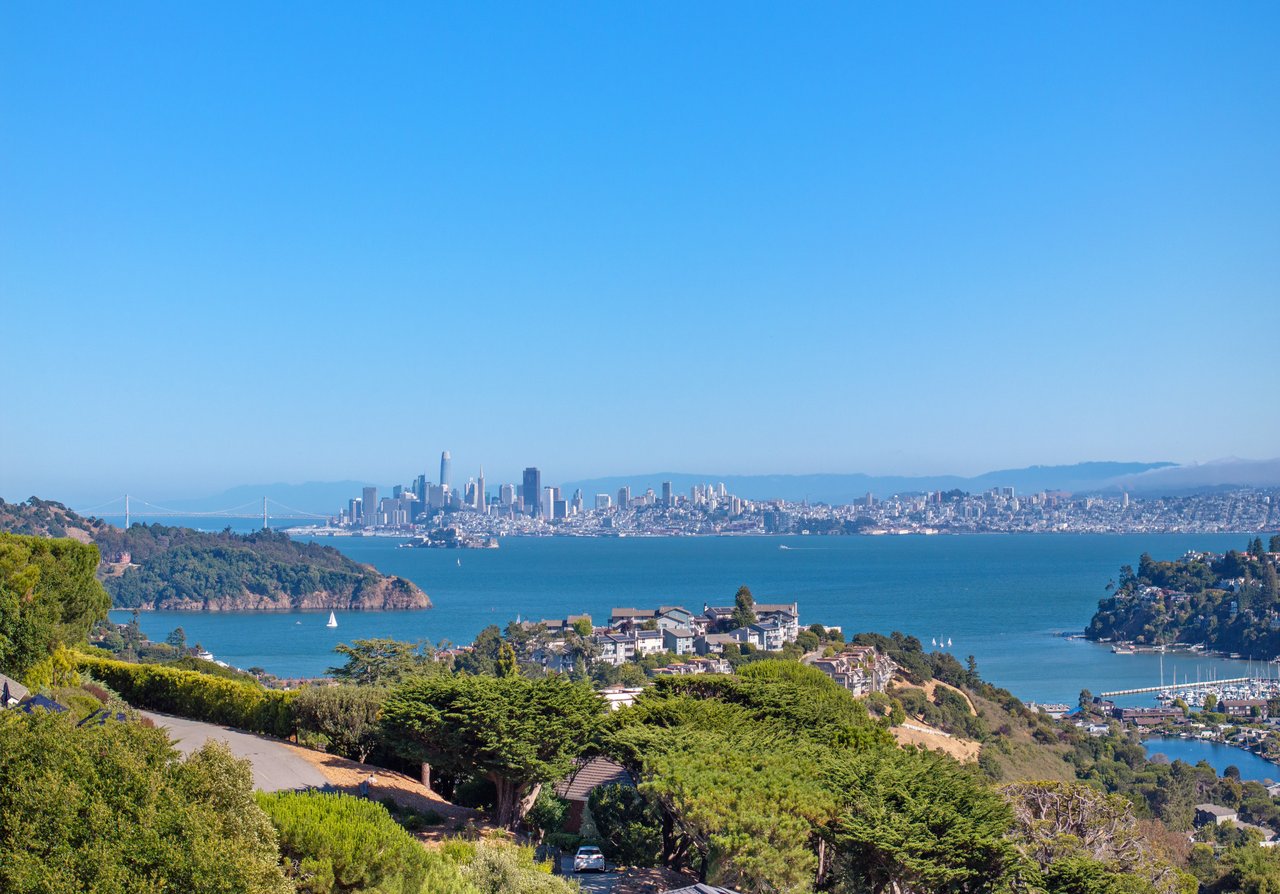 Incredible Backyard with San Francisco Bay Views and Pool