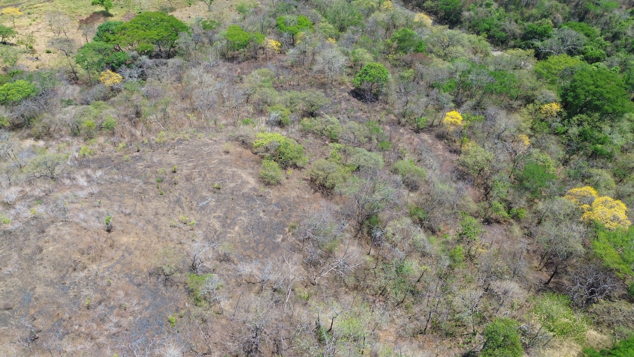10 HECTARES DEVELOPMENT OPPORTUNITY - PUERTO VIEJO CONCHAL