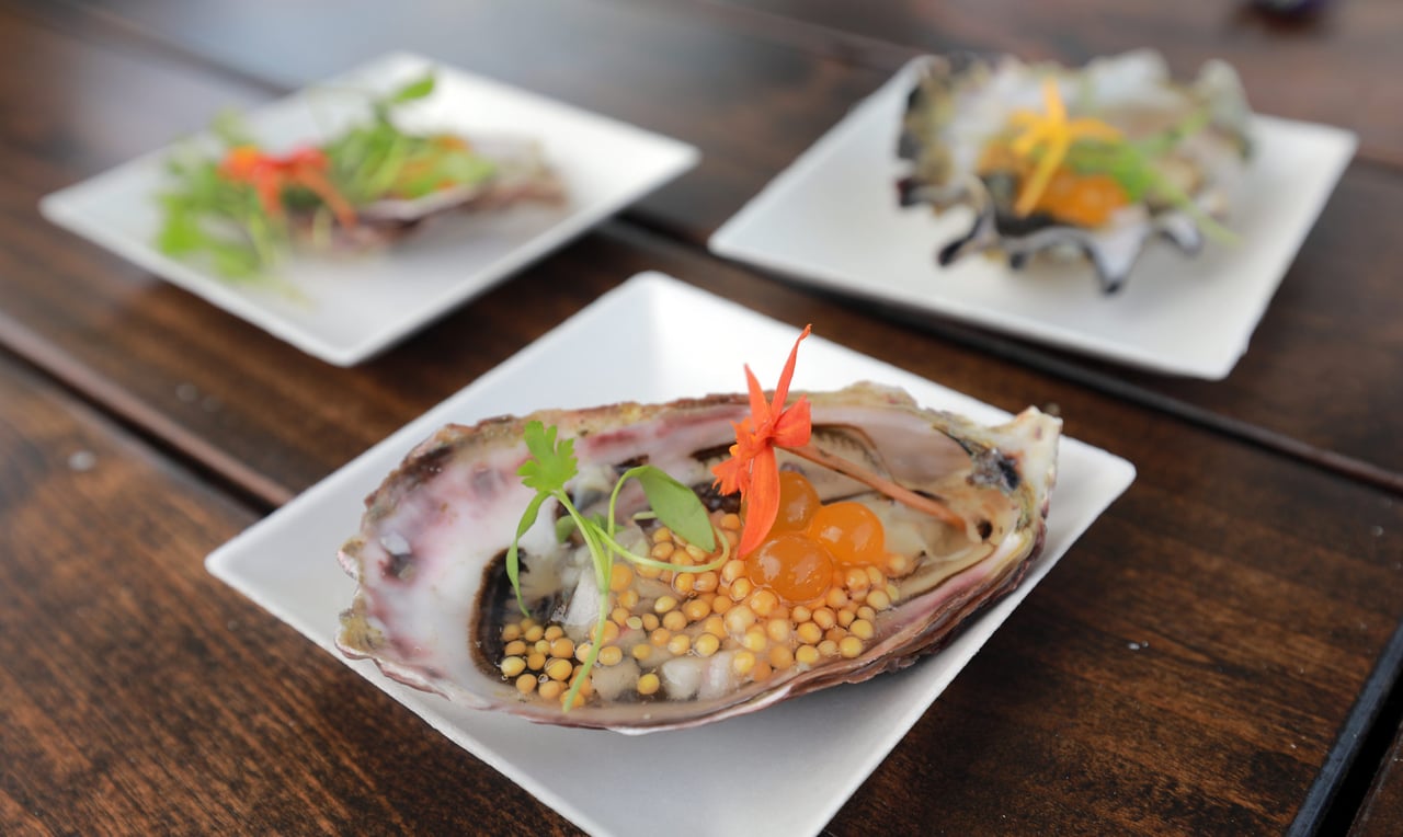 Taste the Region’s Best Food and Wine at Upcoming Festival