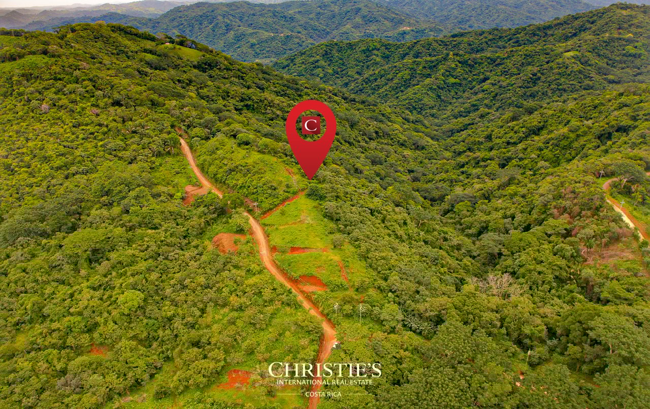 Finca El Toledo – A Signature Property for Visionary Development