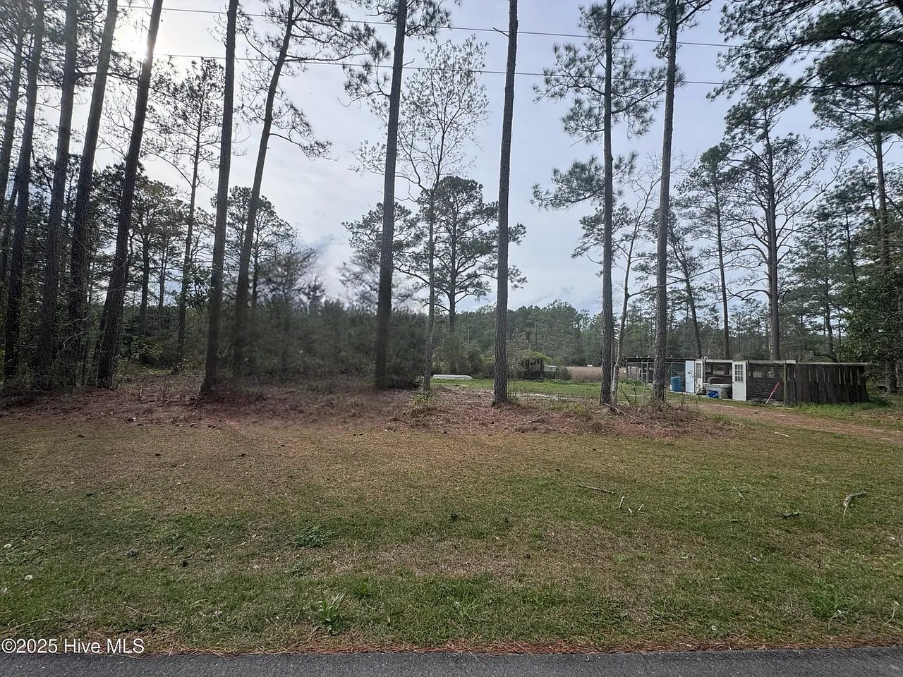 0 Pine Tree Ln