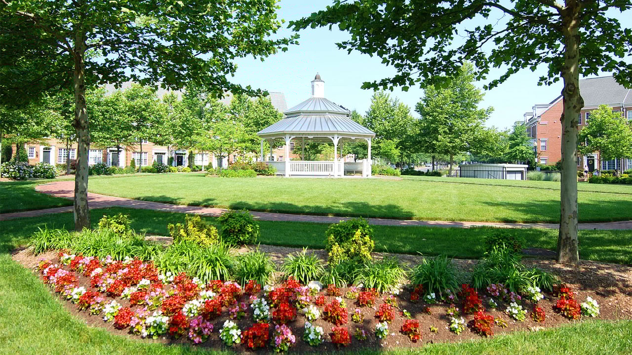 Landmark/Cameron Station