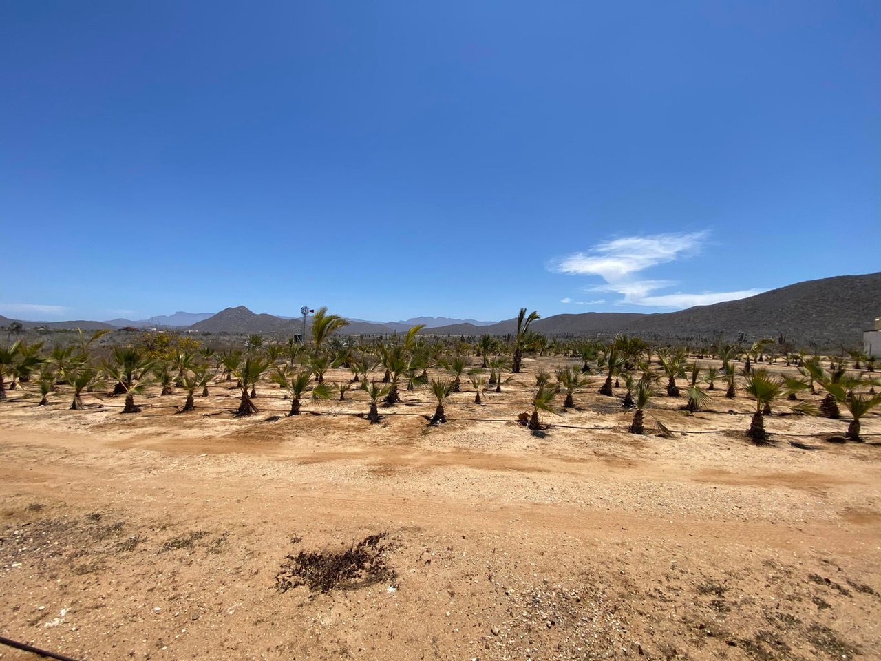 Pescadero Lote-297