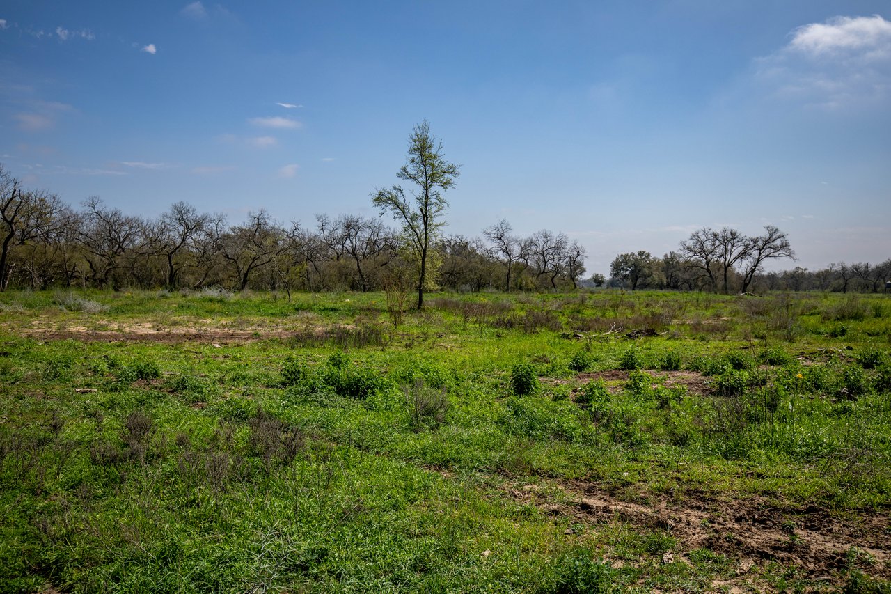 Dry Hollow Creek Ranch | 24.29± Acres | Bexar County