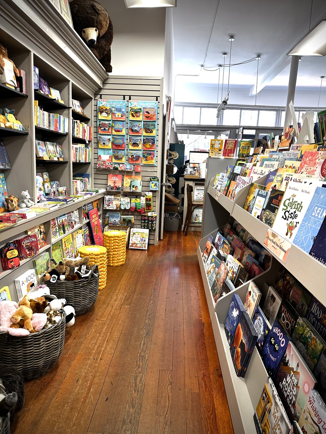 Charming Bookstores Around Lake Norman