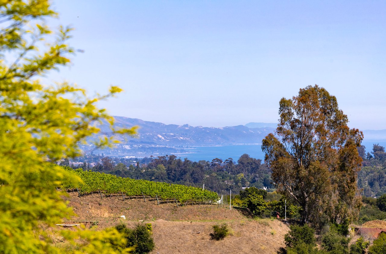 5-Acre Ocean View Parcel