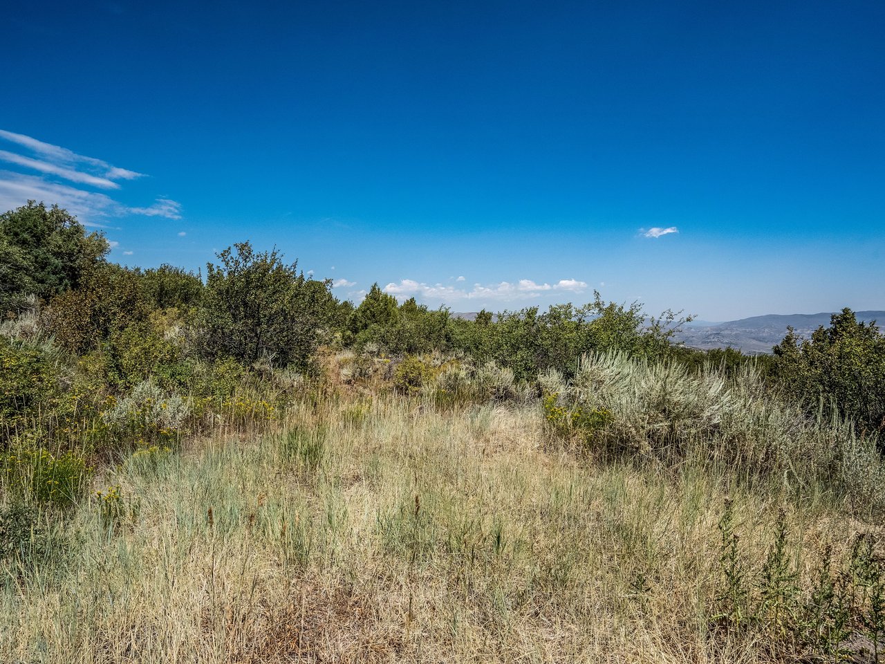 217 Saddle Rock