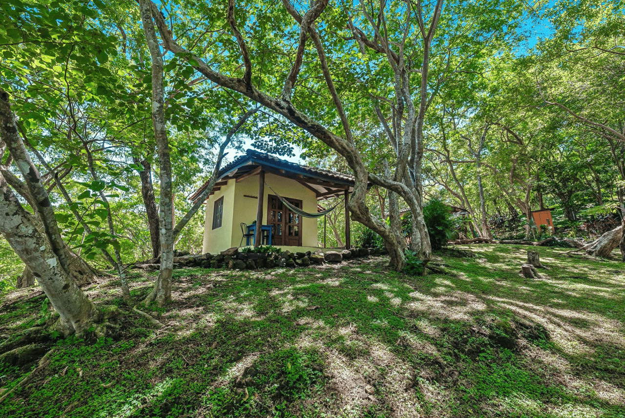 Mountain Oasis Retreat - 4 Acre Oceanview - Tamarindo