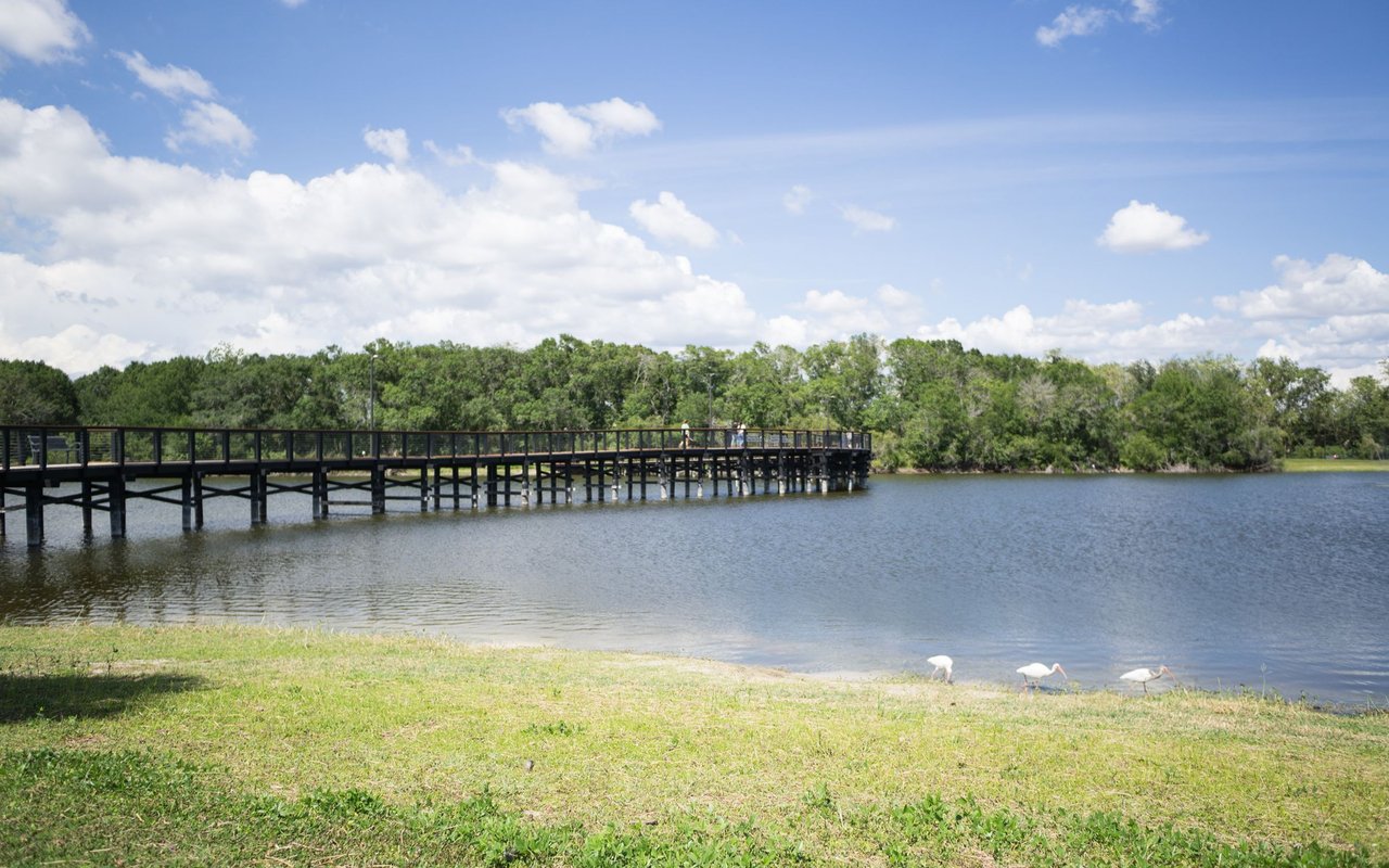 Carrollwood