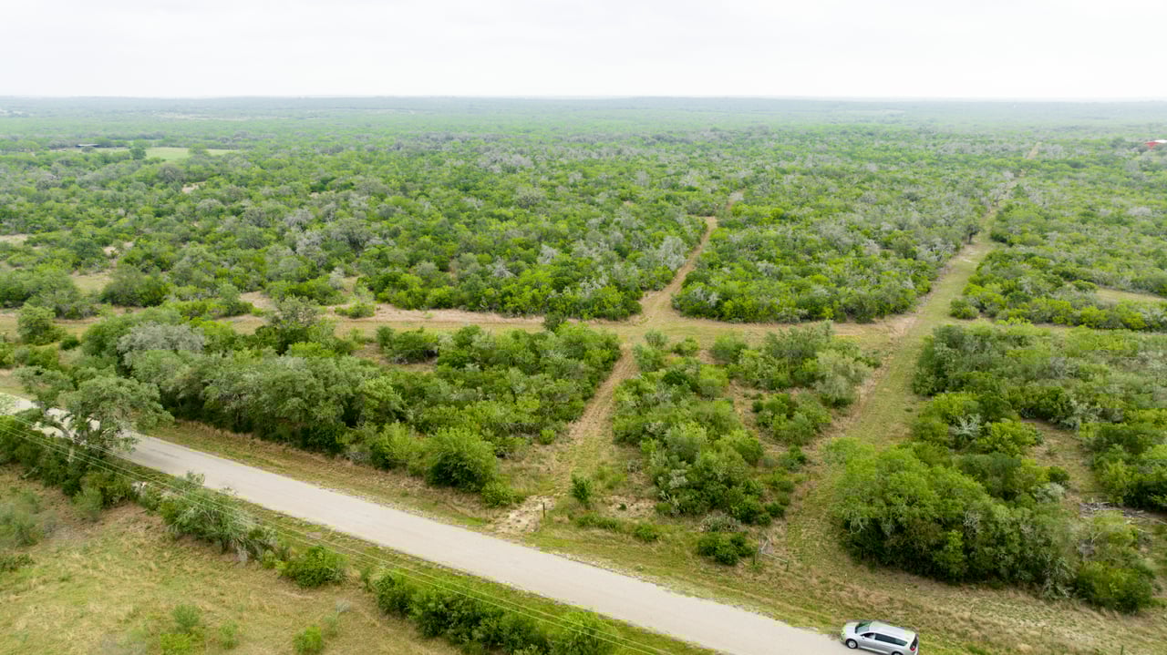 Bee County