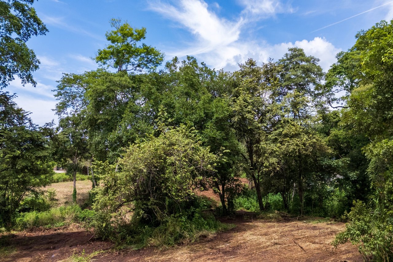 Lot Across Mar Vista , Playa Brasilito, Guanacaste