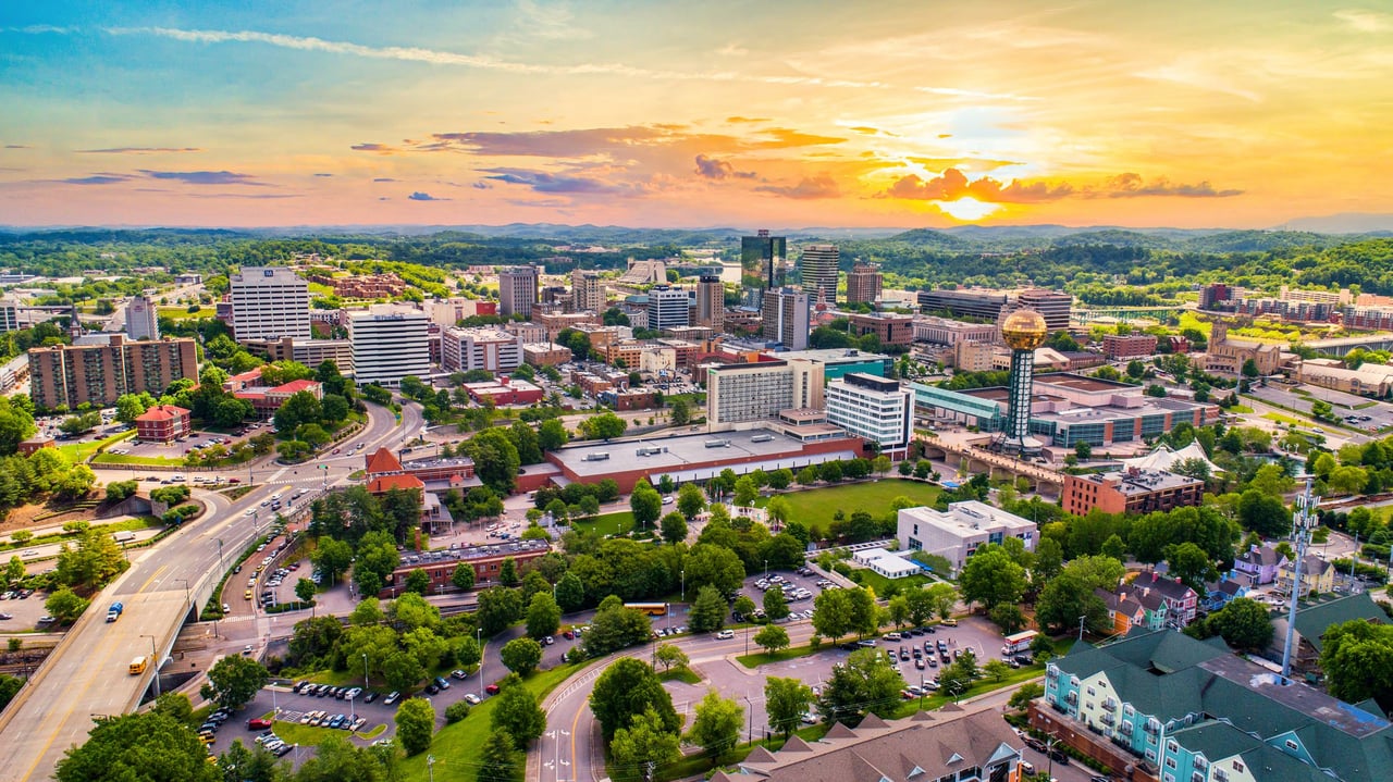 The Real Estate Pulse