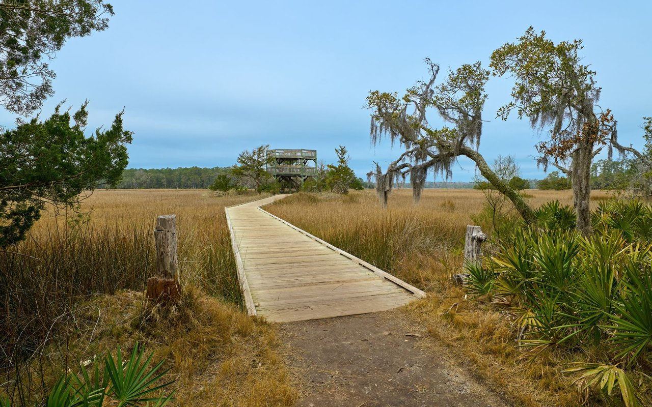 Skidaway Island / The Landings