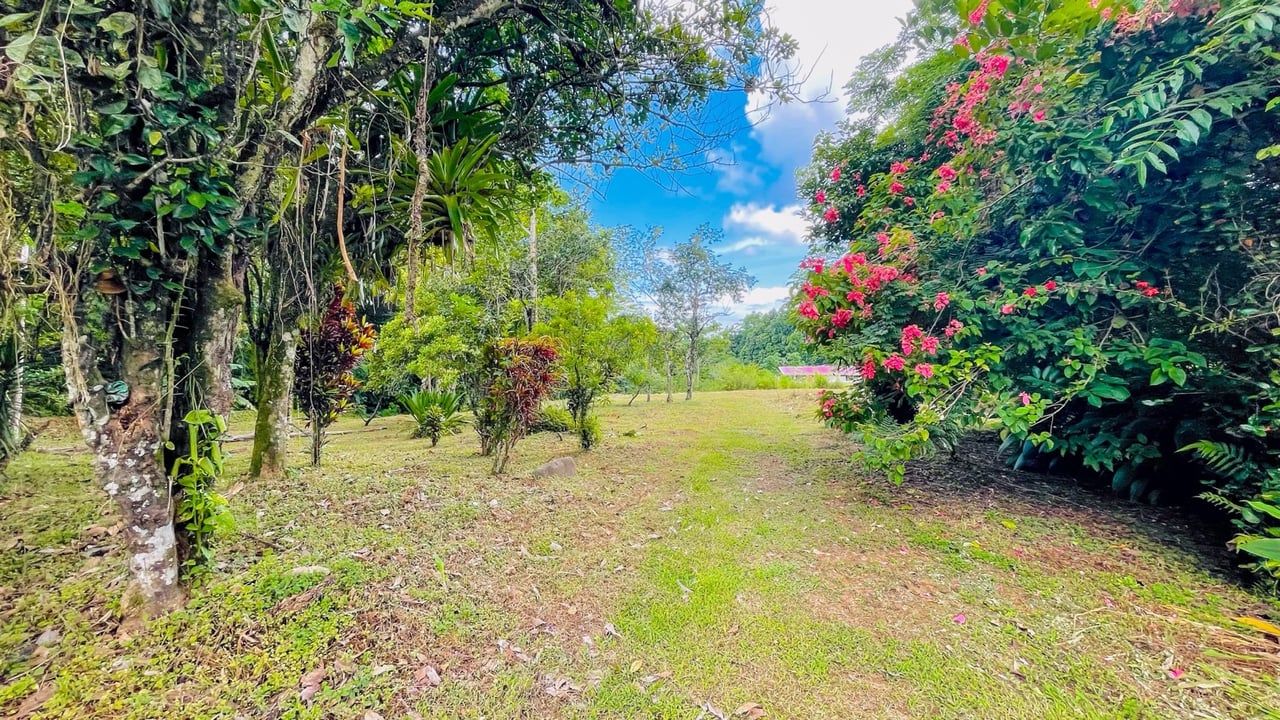 COSTA RICA LAND FOR SALE | LARGE FLAT PRIVATE PROPERTY WITH MOUNTAIN VIEWS, RIVER & FRUIT TREES