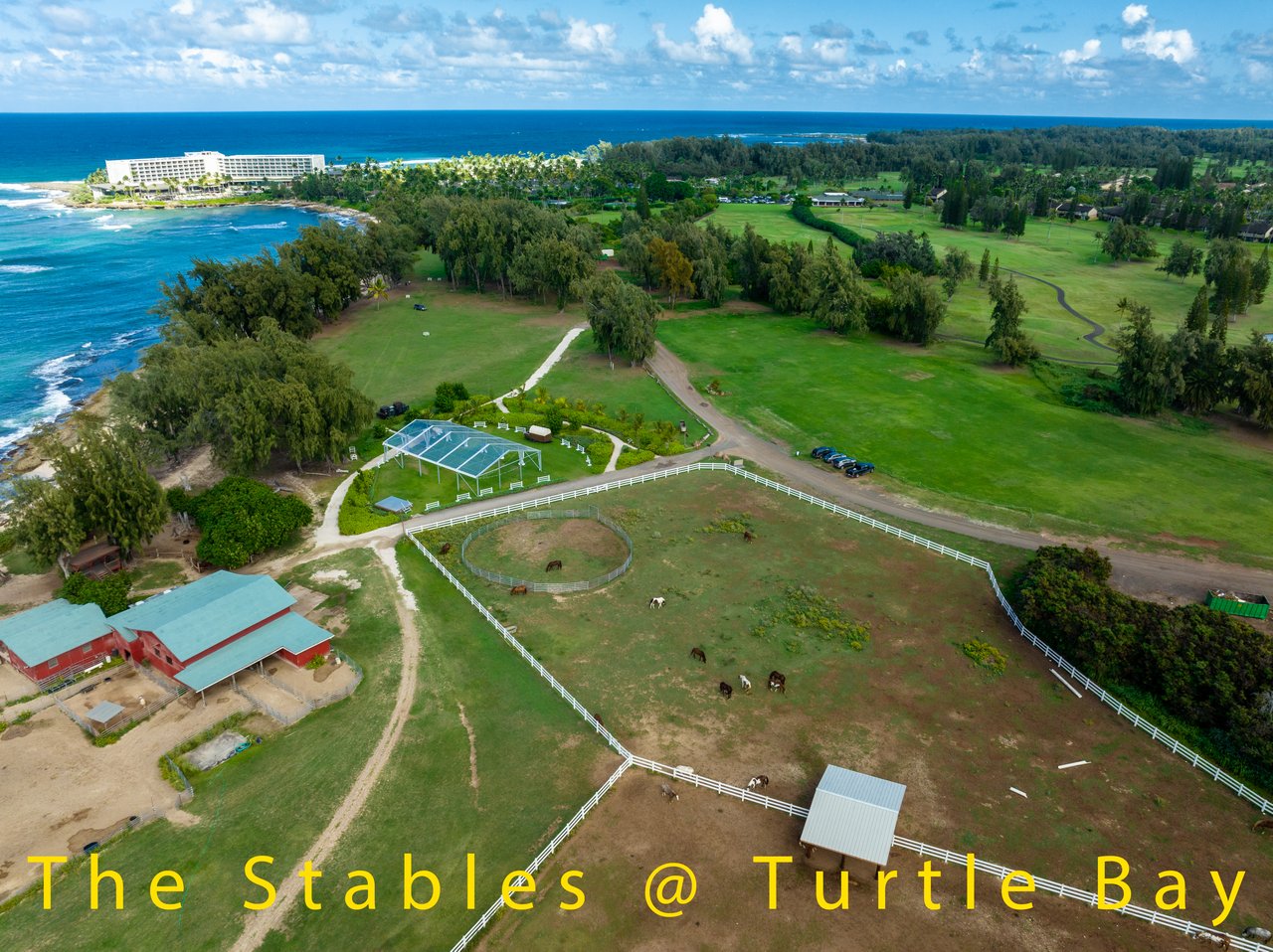 Turtle Bay Kuilima Collection 164 West Studio with LOFT