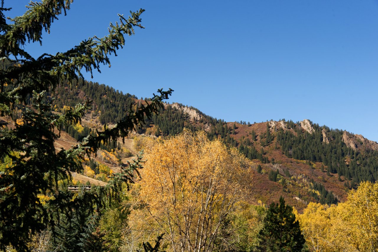 Conveniently Located Midland Ave Home